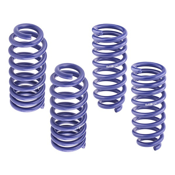 H&R Tieferlegungsfedern BMW XM (Typ F56XM / G09 - 28627-2